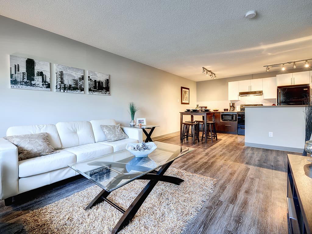 Living and dining area